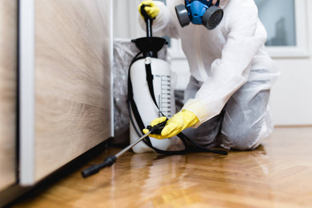 Best Pest Control Near Me  in Terryville, CT