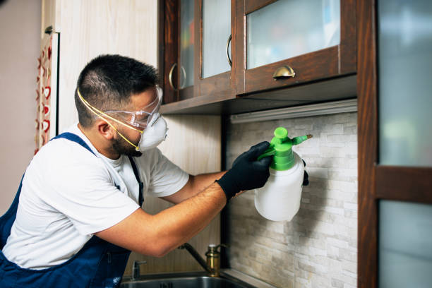 Best Pest Inspection Near Me  in Terryville, CT