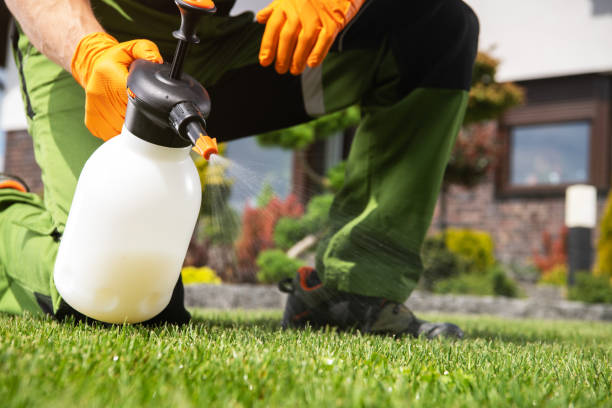 Best Exterminator Services  in Terryville, CT