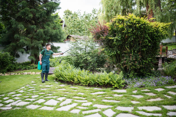 Best Cockroach Control Services  in Terryville, CT