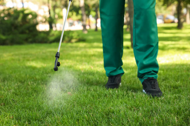 Best Emergency Pest Control  in Terryville, CT