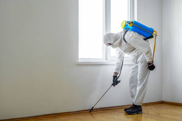 Best Affordable Pest Control Services  in Terryville, CT