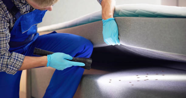 Best Best Pest Control Companies  in Terryville, CT
