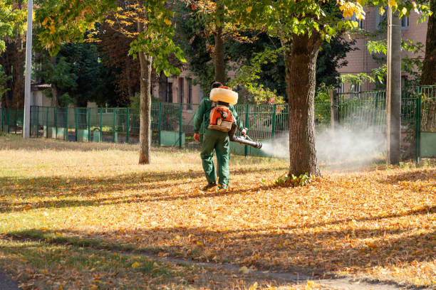 Best Mosquito Control Services  in Terryville, CT
