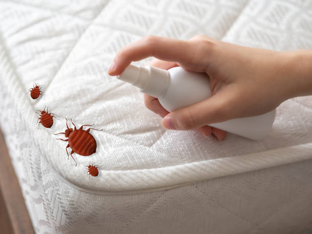 Best Commercial Pest Control Services  in Terryville, CT
