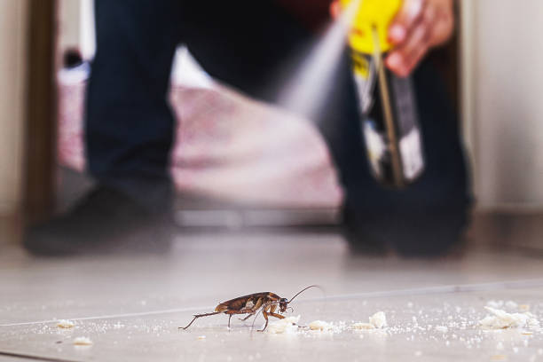 Best Pest Removal Services  in Terryville, CT