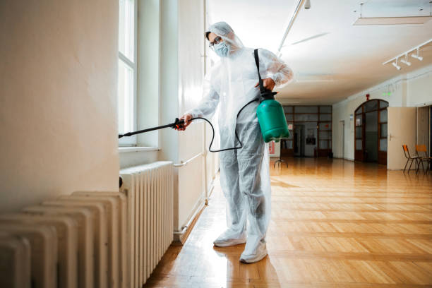 Best Local Pest Control Services  in Terryville, CT